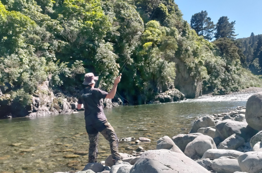 Wellington Weekly Fishing report - 17 November 2022