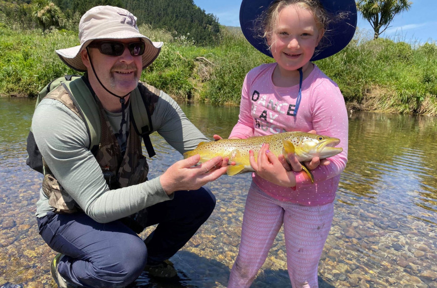 Wellington Weekly Report 05 December 2019