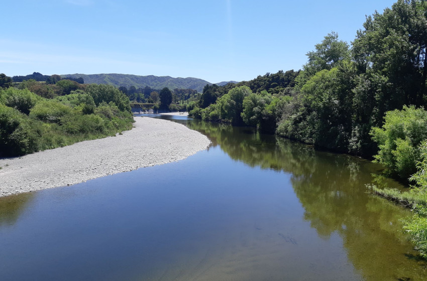 Wellington Weekly Report - 12 December 2019