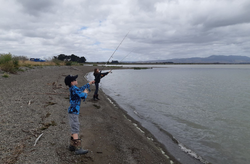 Wellington Weekly Report - 16 January 2020