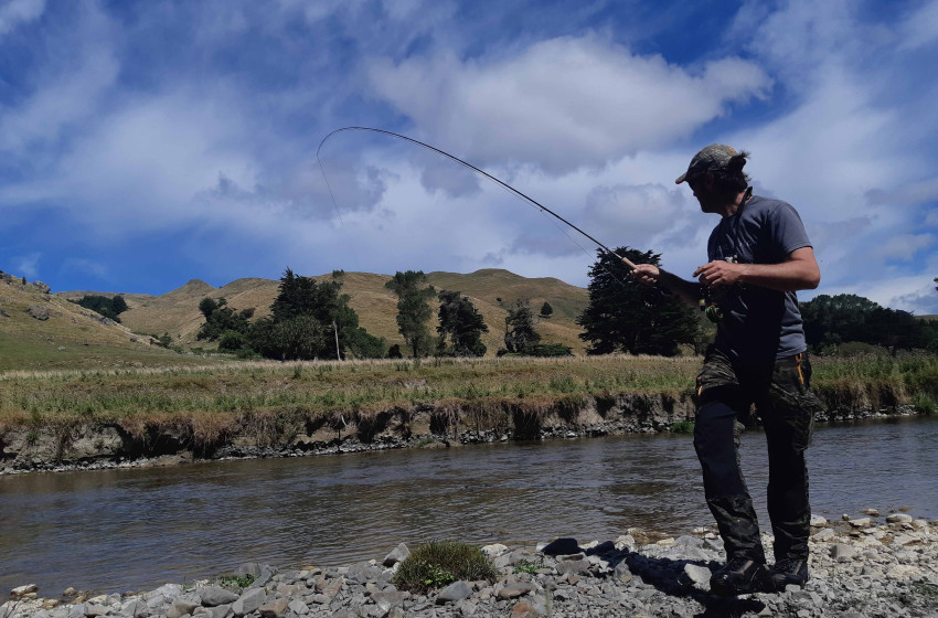 Wellington Weekly Report 21st February 2019