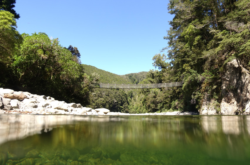 Wellington Weekly Report 7th March 2019