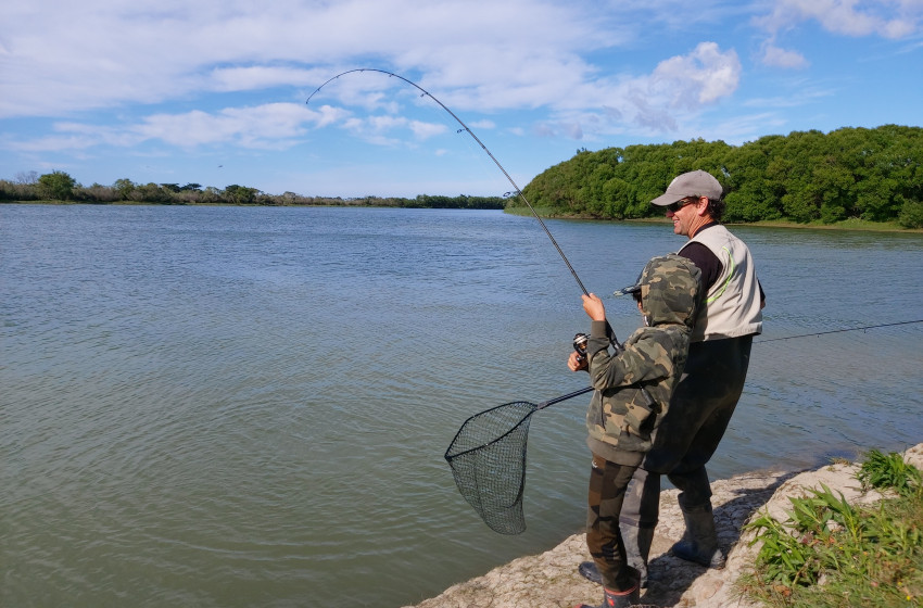 Wellington Weekly fishing Report - 2 December 2021