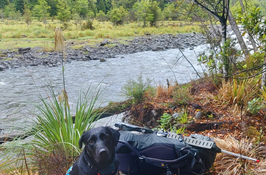 Wellington Weekly fishing Report - 9 December 2021