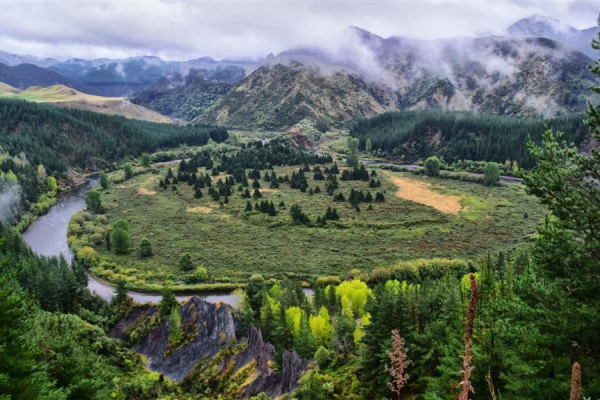 mohaka river area 1920