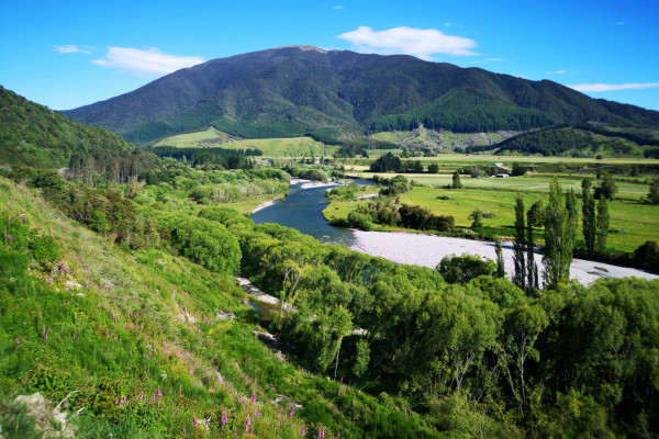 4.Buller River