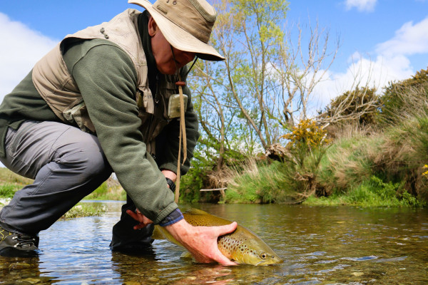 Half a day to the north