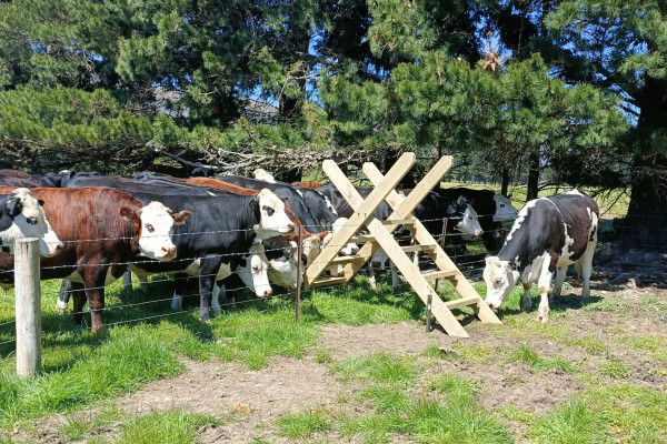 Gifts Donations etc FISH