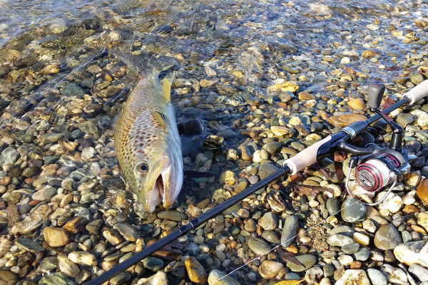 New to fishing in Southland
