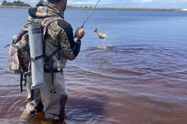 Waituna Lagoon Tile