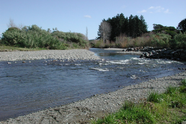 Waikanae River