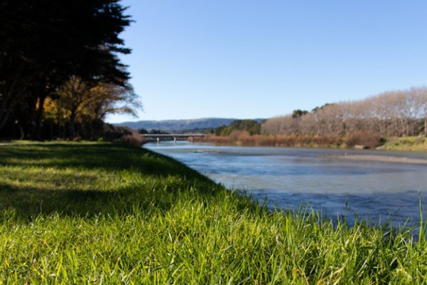 Manawatu river