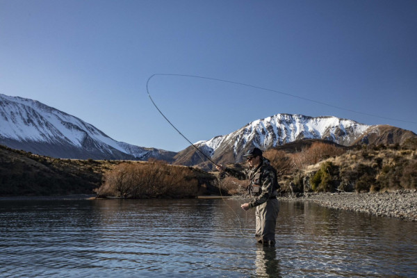 8c911caf 6722 40ea bae0 61d6a8caec44