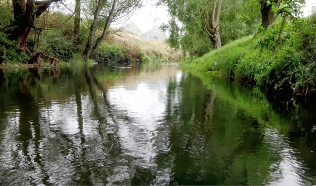 Pokaiwhenua