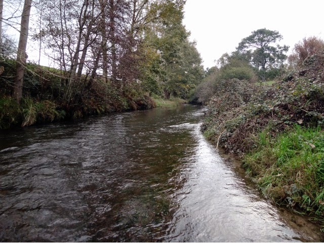 Waiomou Stream