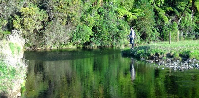 Ngakoaohia3