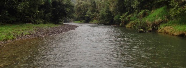 Awaroa River