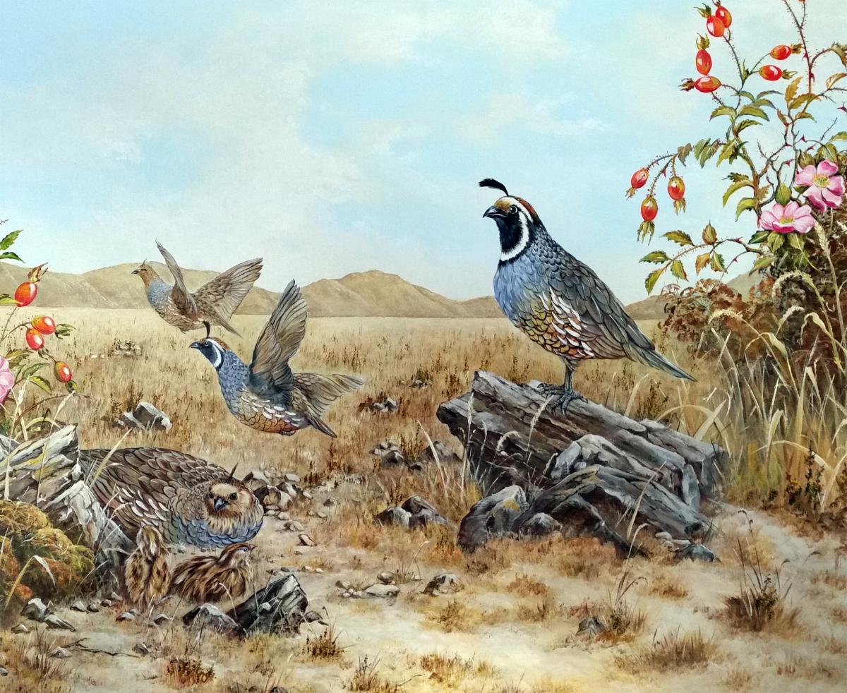 Gamebird stamp 2017 0