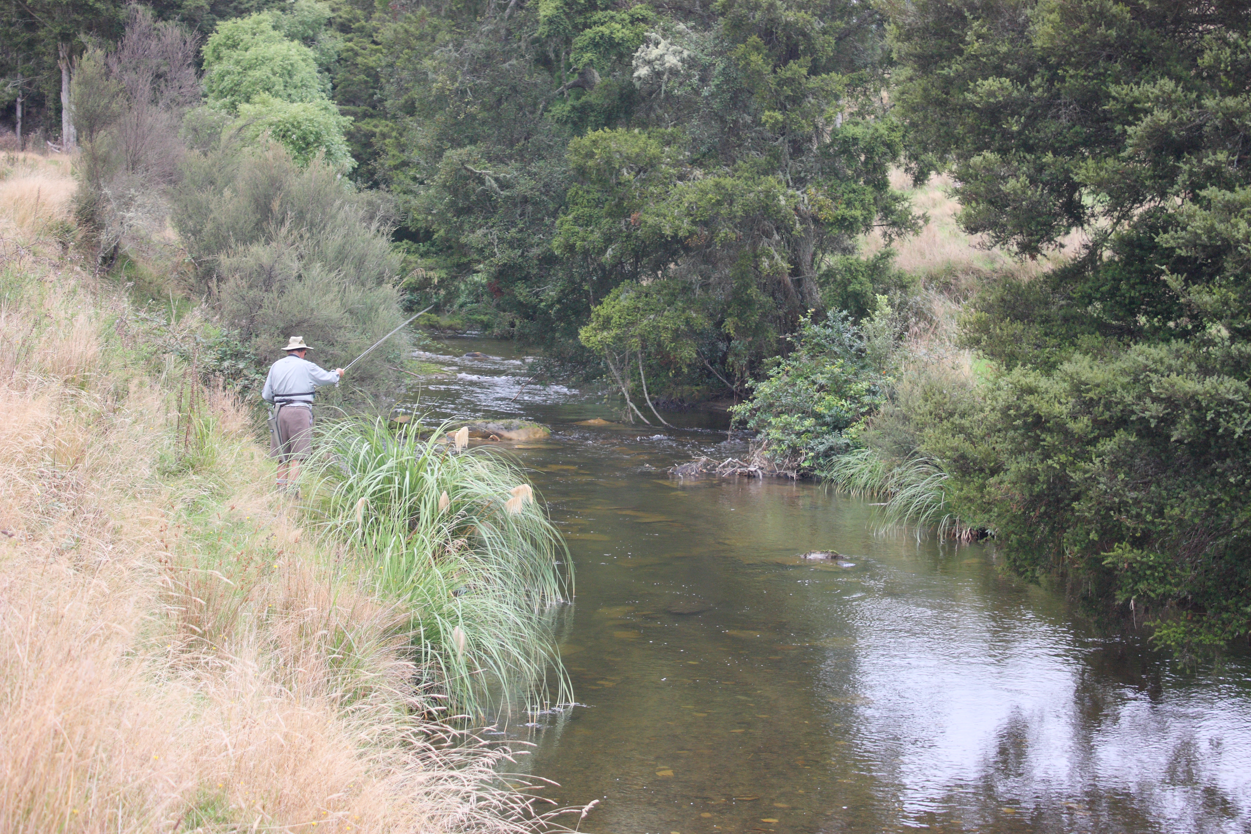 Waimaiha
