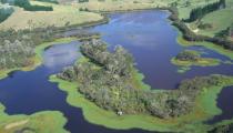 Waitangi Wetlands Kerikeri