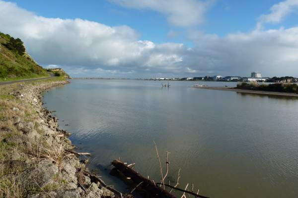 Whanganui Estuary