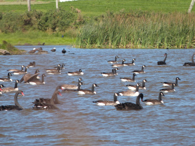 A West Coast Mixed Bag on Offer3