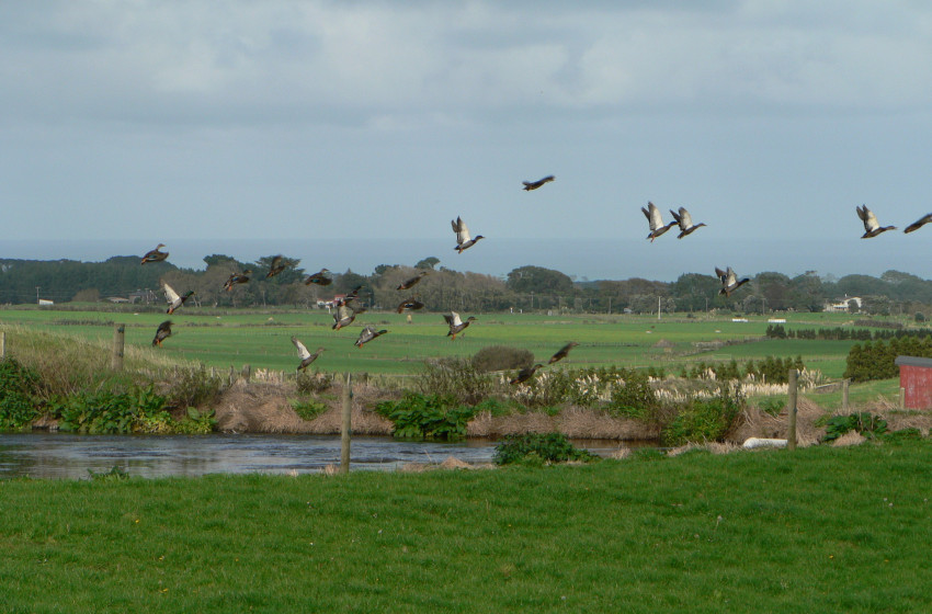 Taranaki Both Barrels April 2018