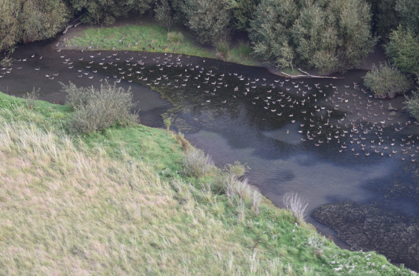 Southland Both Barrels April 2019