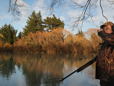 FGNZ NC Opening day34
