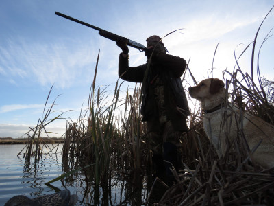 BBaprilCSI 2 its game on for the 2021 game bird season credit Rhys Adams