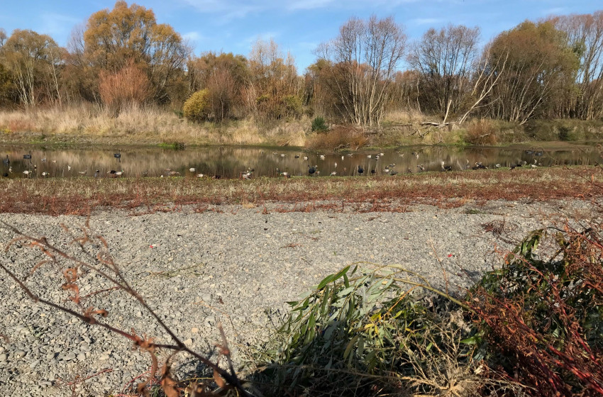 Both Barrels April 2021