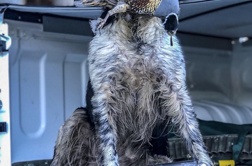 Both Barrels April 2021