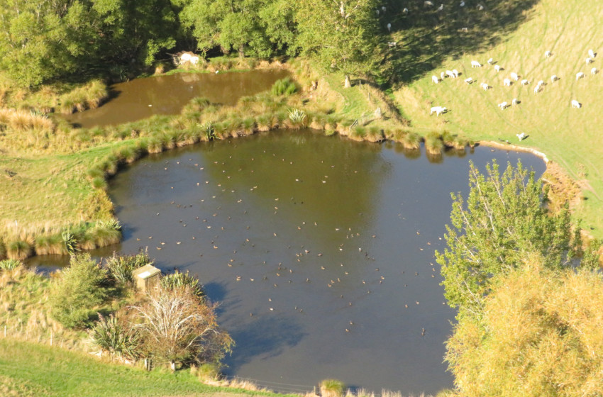 Both Barrels April 2024 - Otago