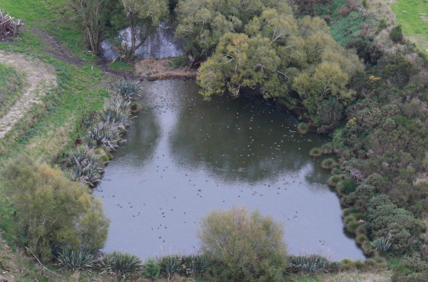 Both Barrels April 2025 - Southland