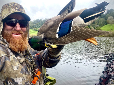 Eastrn BB Drake July 2023