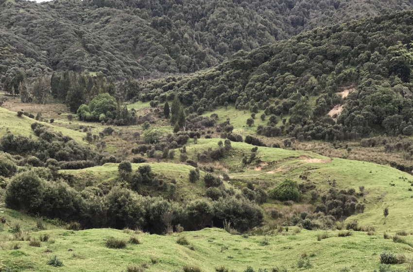 Both Barrels July 2023 -Taranaki
