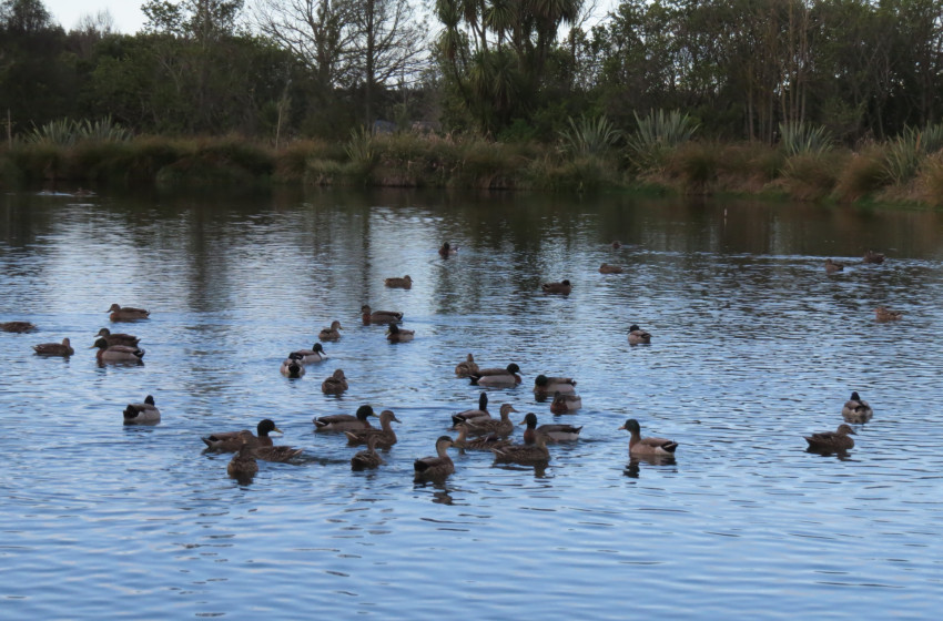 Both Barrels July 2024 - Hawke's Bay