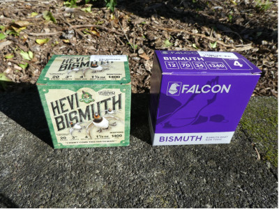 AW Bismuth options June 23