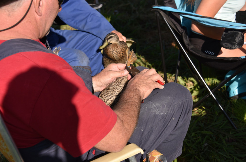 Both Barrels June 2023 - Eastern