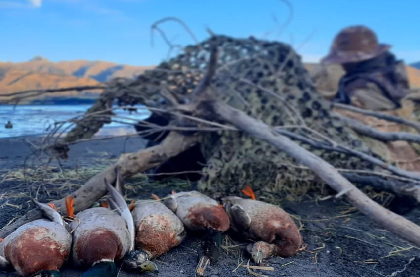 Both Barrels June 2023 - Otago