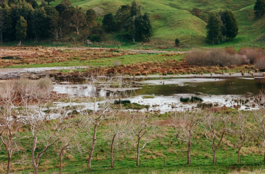 Both Barrels June 2024 - Auckland/Waikato