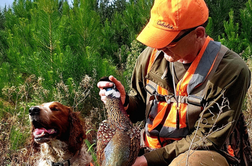 Both Barrels June 2024 - Eastern