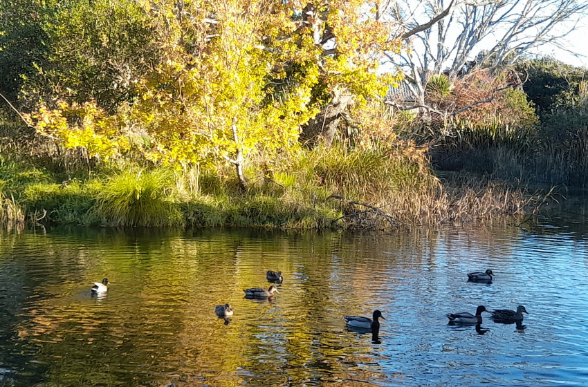 Both Barrels June 2024 - Hawke's Bay