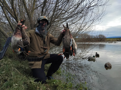 P3 Willow hunt