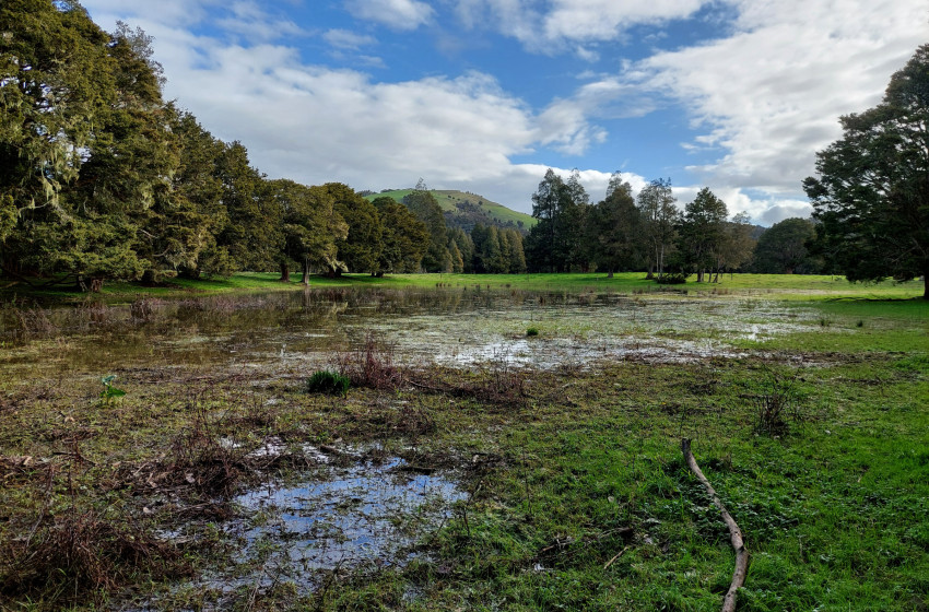 Both Barrels June 2025 - Northland