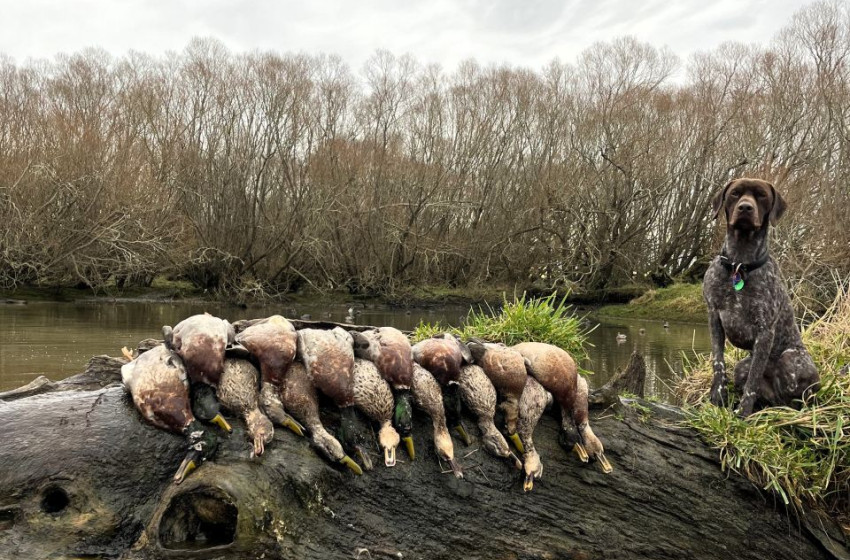 Both Barrels June 2025 - Otago