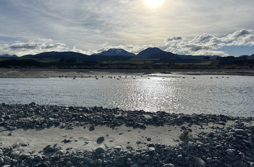 Both Barrels May 2025 - North Canterbury