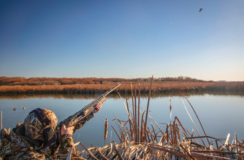 Duck Hunting Ammo 2025 – steel is real 20 years on