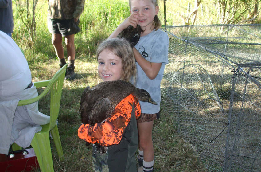 Auckland Waikato Fish & Game Council Mallard/Grey Duck Banding Schedule 2026