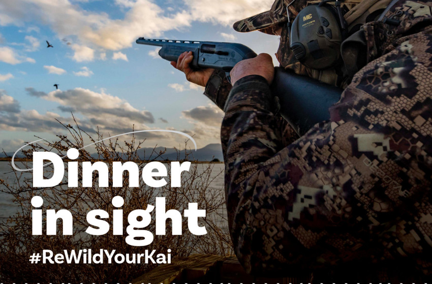 Fish & Game New Zealand game bird licences on sale now
